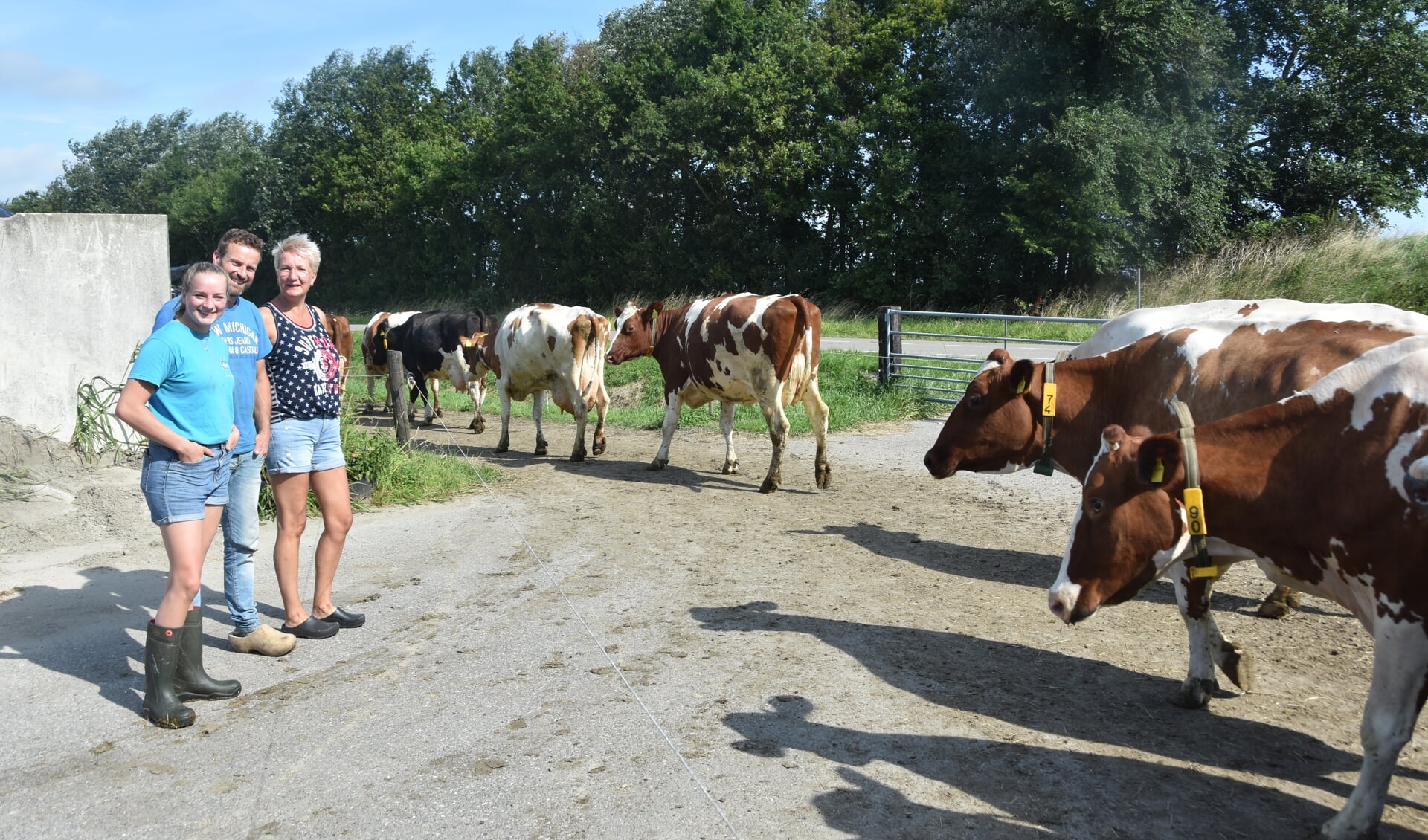 Mijs, Jop en Corine Rotteveel bij hun koeien (Foto: Adri van der laan).