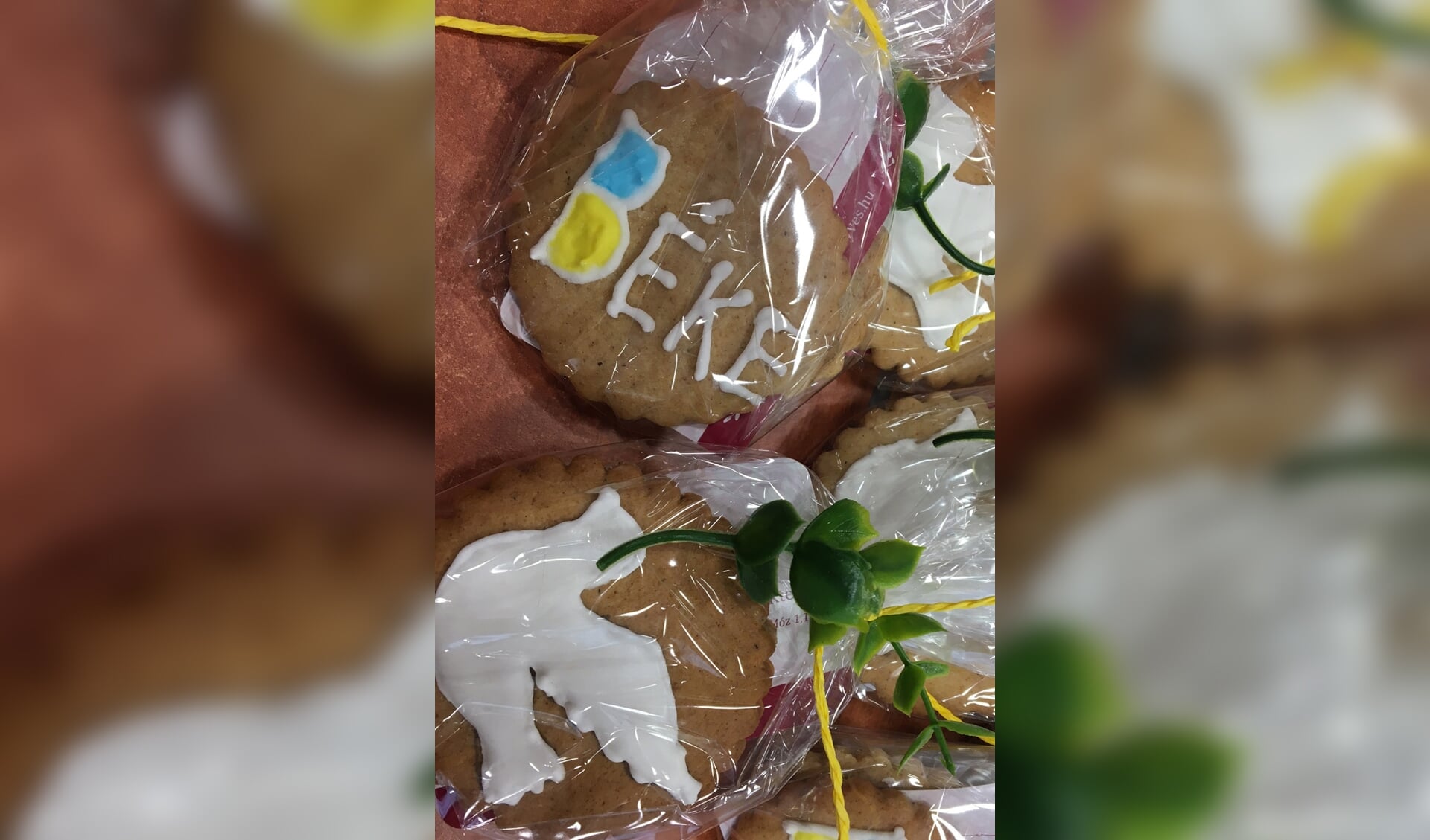 De kinderen kregen als beloning koekjes uit Oekraïne met het opschrift ‘Béke’ wat ‘Vrede’ betekent.
