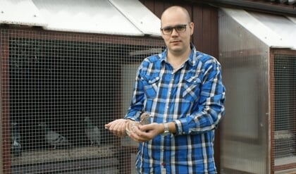 Afbeelding