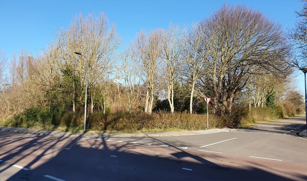 Er komt geen woningbouw op terrein Westerweg / Oude Nieuwlandseweg in Ouddorp (Foto: Jaap Ruizeveld).