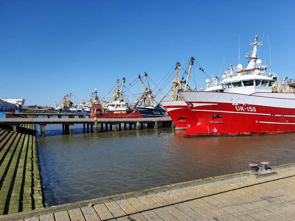 Vissersboten in de haven van Stellendam (Archieffoto: Jaap Ruizeveld).