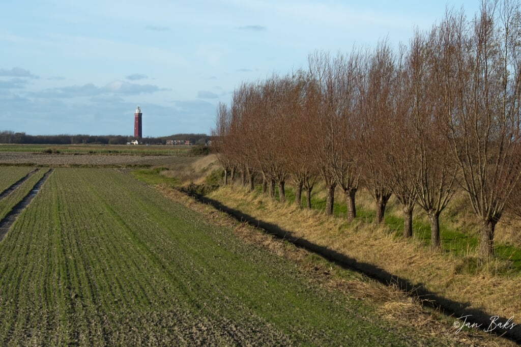 Het perceel akkerland aan de Westduinweg (Foto: Jan Baks).