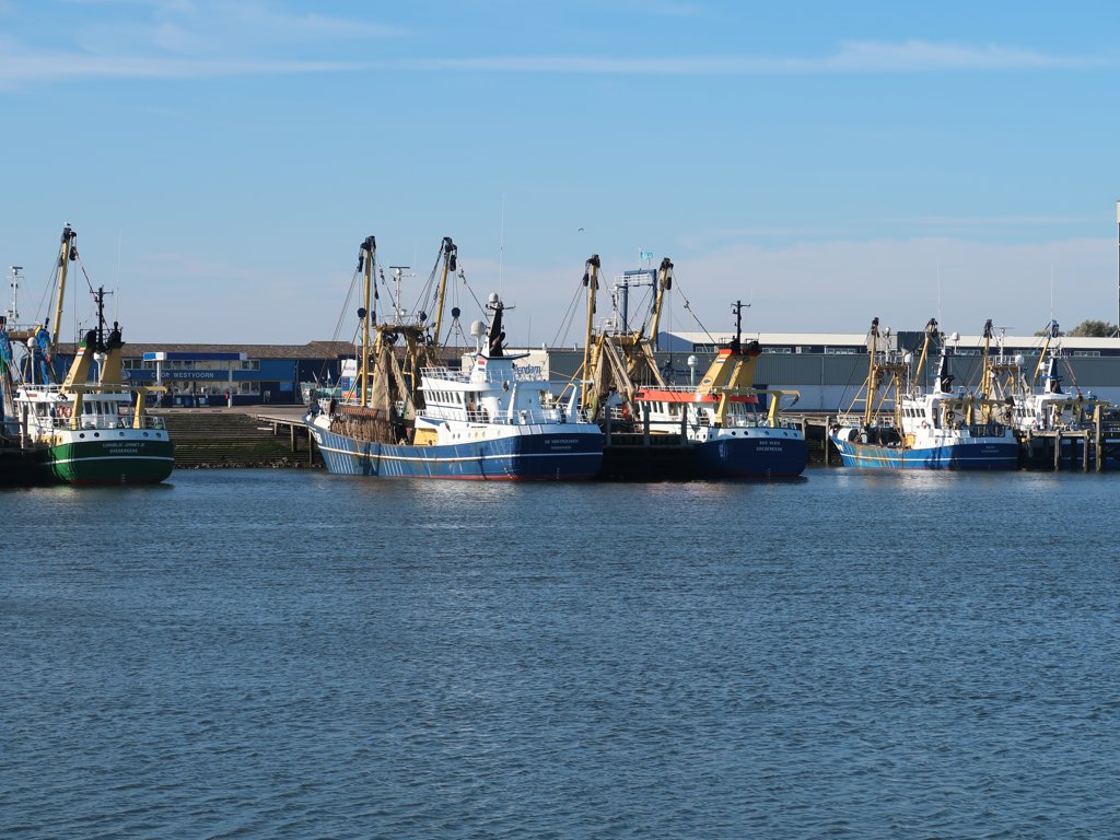 Van links naar rechts de GO-23, GO-38, GO-44, SCH 18 en de SCH-45 afgemeerd in de buitenhaven van Stellendam (Foto: W.M. den Heijer).