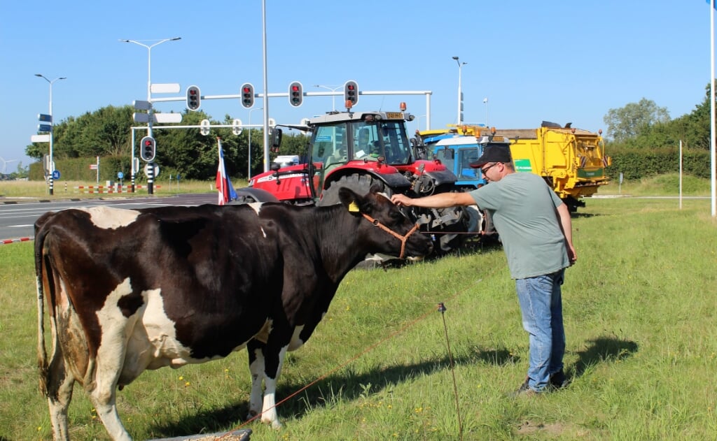 Vreedzaam protest van de Flakkeese boeren langs de N59, inclusief koe. Voor wie -in tegenstelling tot wat een briefschrijfster beweerde- uitstekend werd gezorgd (Foto: Mirjam Terhoeve).