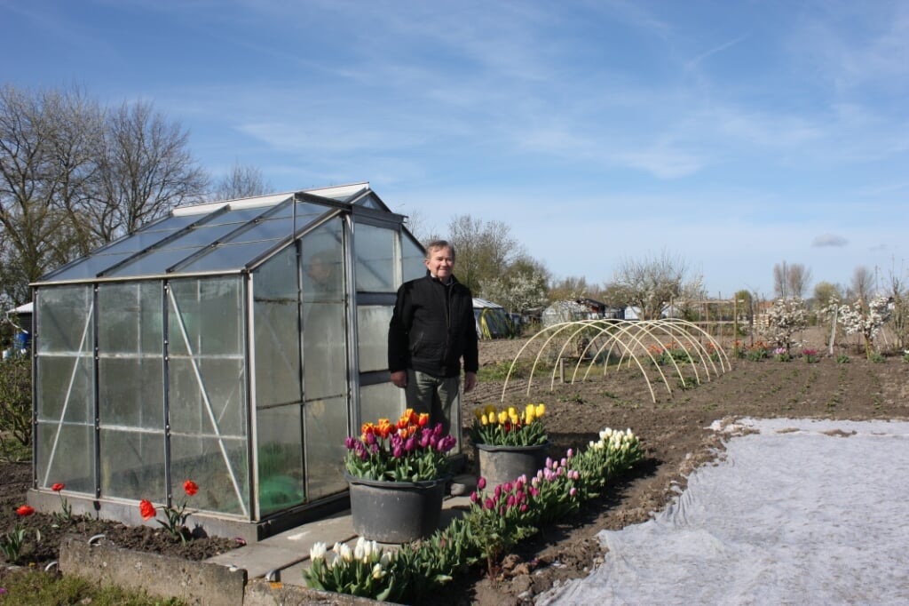 Leen Wielhouwer op zijn volkstuin aan de Molenweg. “Ik ga door met tuinieren zolang ik er de kracht voor krijg.” (Foto: Kees van Rixoort)