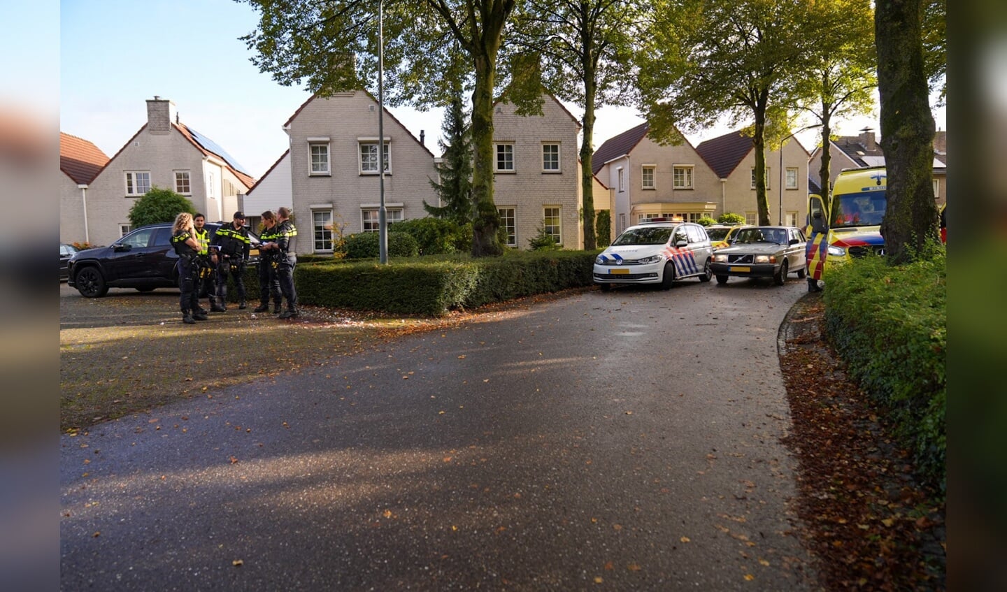 Afbeelding