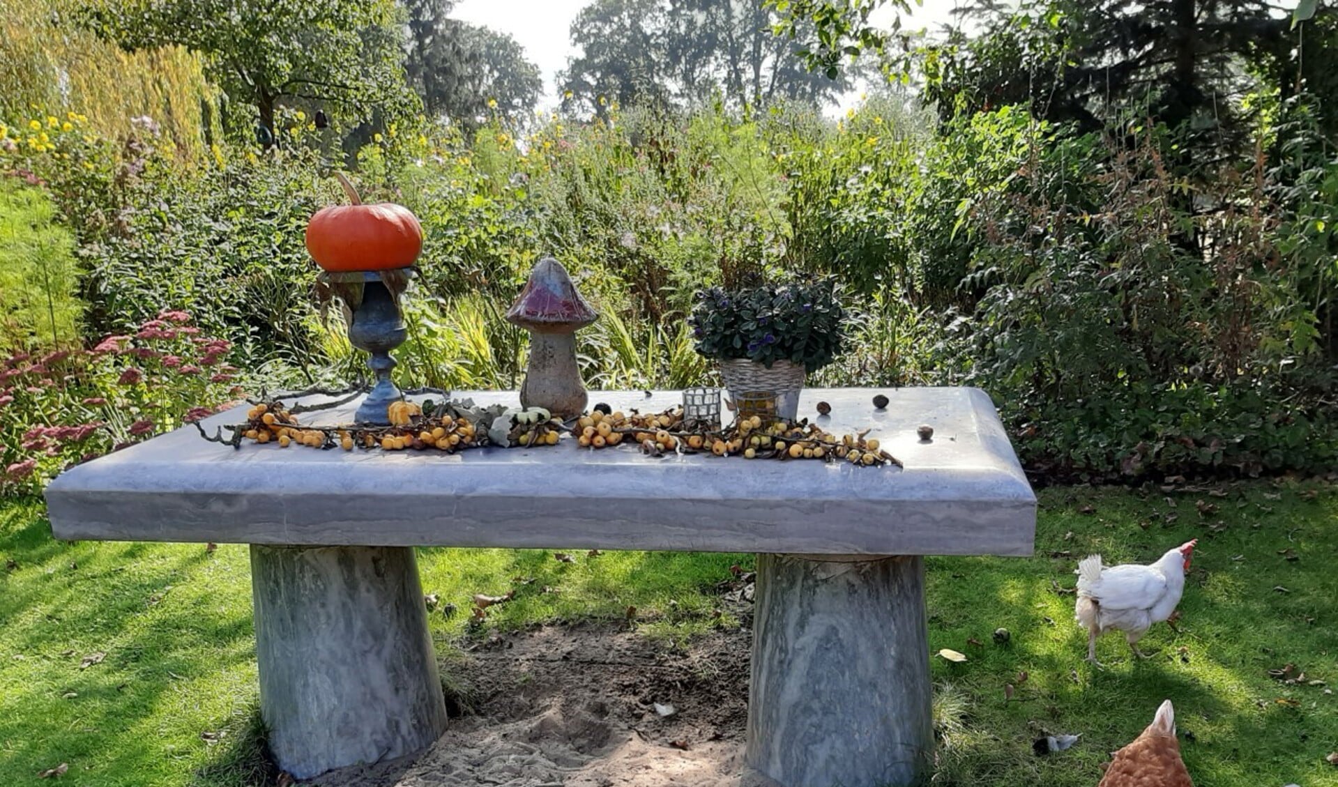 Er is zelfs meer te zien dan alleen planten