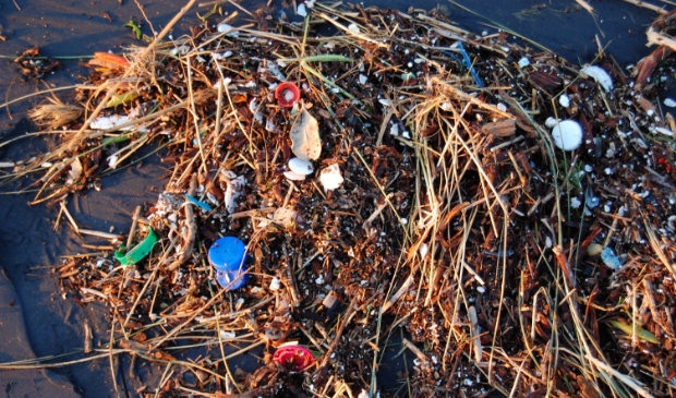 <p>Een groot gevaar voor mens en dier: de plastic soup in de oceanen.</p>
