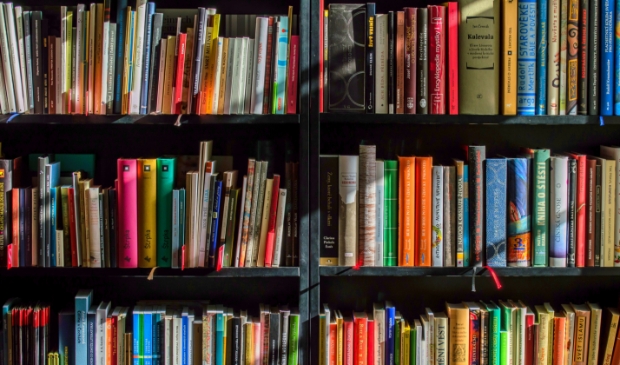 Bibliotheek in drie dorpskernen van Egmond.