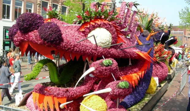 <p>Het jaarlijkse Bloemencorso eindigt altijd in Haarlem.</p>
