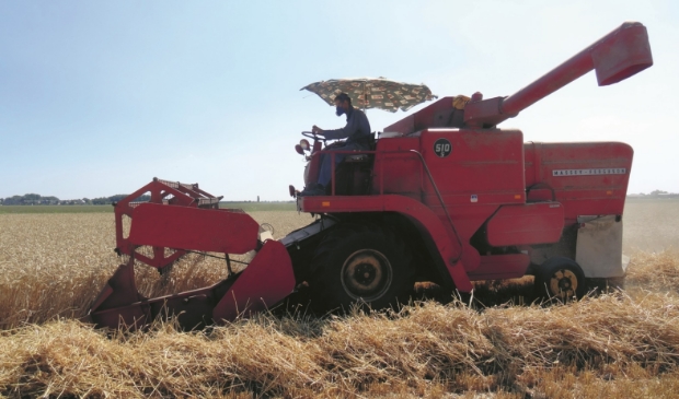 <p> De meeste buitenlandse arbeiders werken in de land- en tuinbouw.</p>