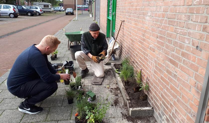 Geveltuintjes in de Bart van der Leckstraat