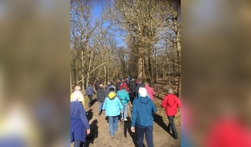 Powerwalk voor 65-plussers.