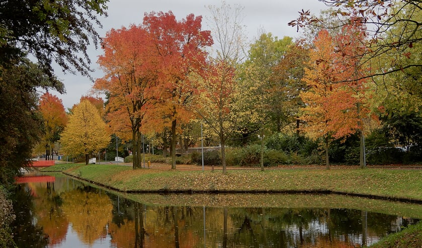 Een herfstplaatje na een regenbui.