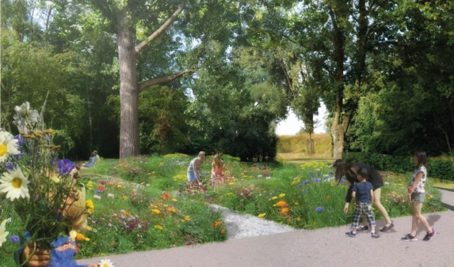 Een impressie van de belevingstuin.