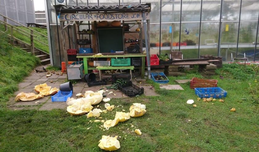 Vandalen hebben vele producten, zoals pompoenen, in de voedseltuin vertrapt en de boek kapot gemaakt.