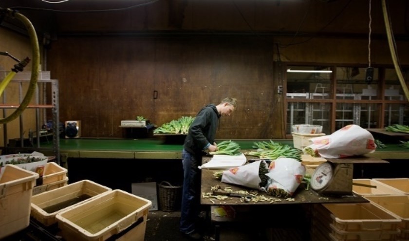 Vijf miljoen voor Noord-Hollandse topondernemers.
