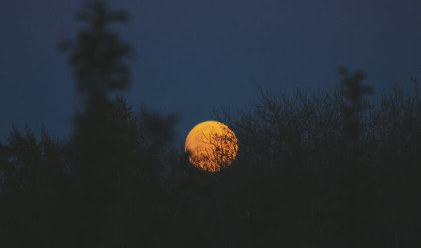 Hoe donker is het in Wormerland tijdens de Nacht van de Nacht?