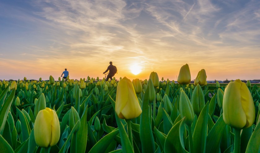 Toeristen op de fiets in Noord-Holland.