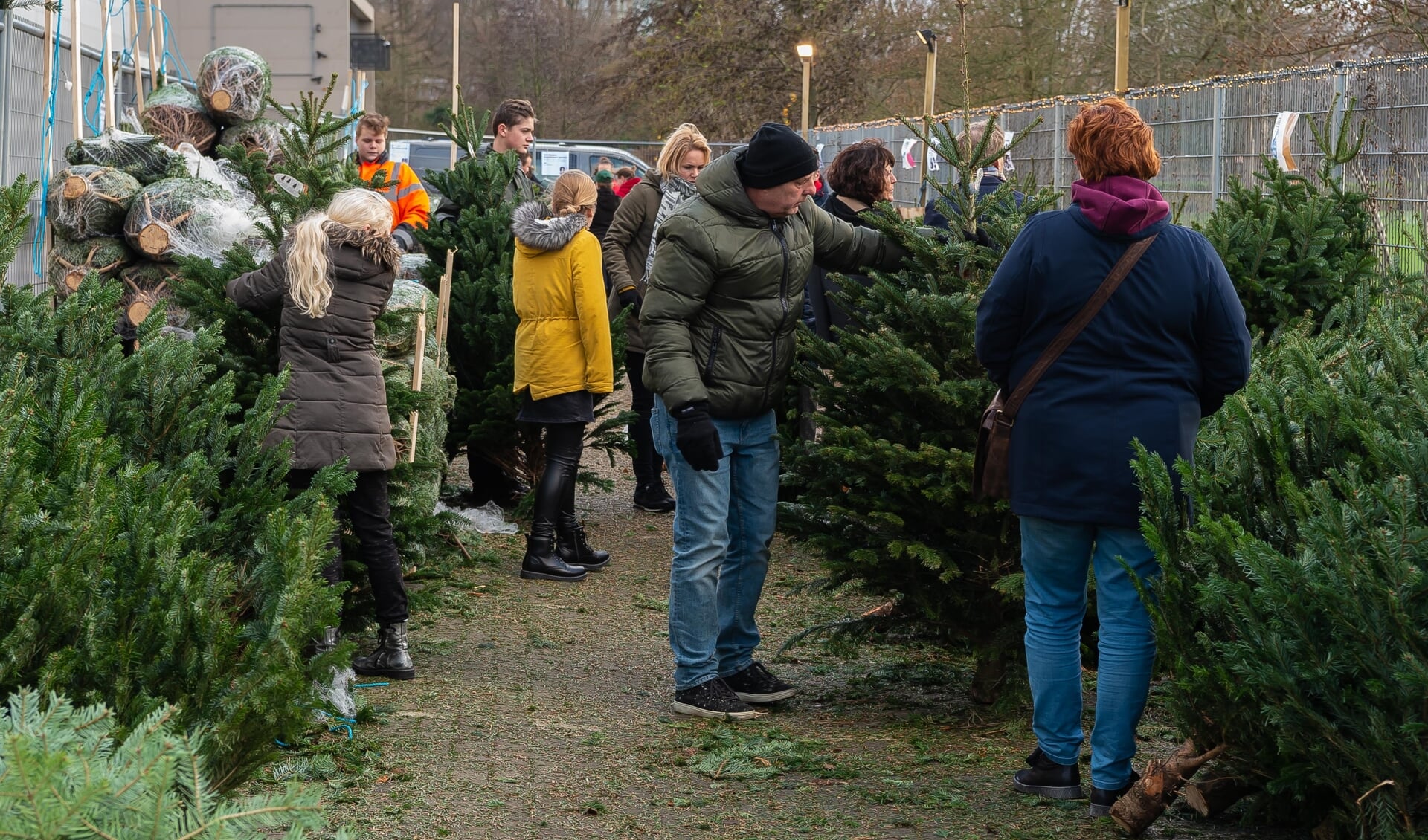 Bestel een kerstboom en steun de voedselbank in Purmerend.