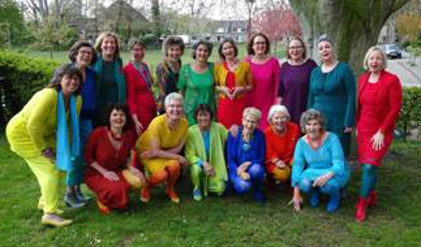Tadame is op zoek naar leuke vrouwen die wereldmuziek willen zingen.