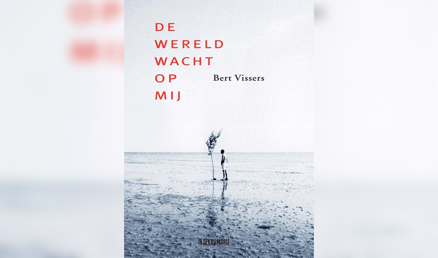 De cover van 'De wereld wacht op mij', de bundel van Bert Vissers. 