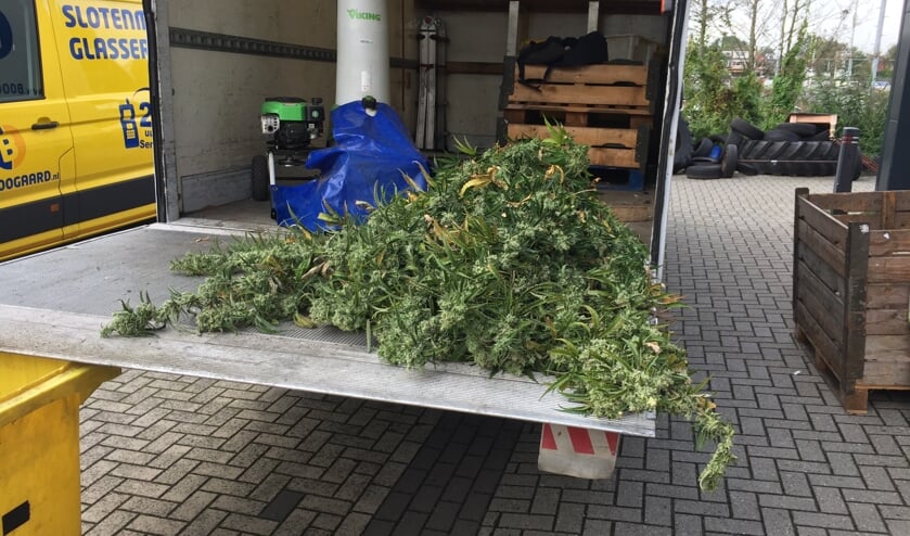 Bij controles wordt al niet meer opgekeken van de aanwezigheid van wietplantages. Zoals onlangs in enkele boxen op bedrijventerrein De Koog in Purmerend.