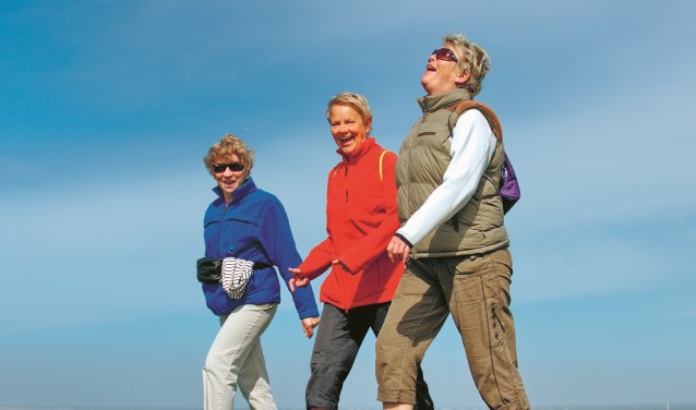 Gezellig wandelen door Beverwijk, Heemskerk en Castricum.