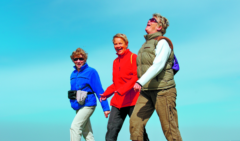 Gezellig wandelen door Beverwijk, Heemskerk en Castricum.