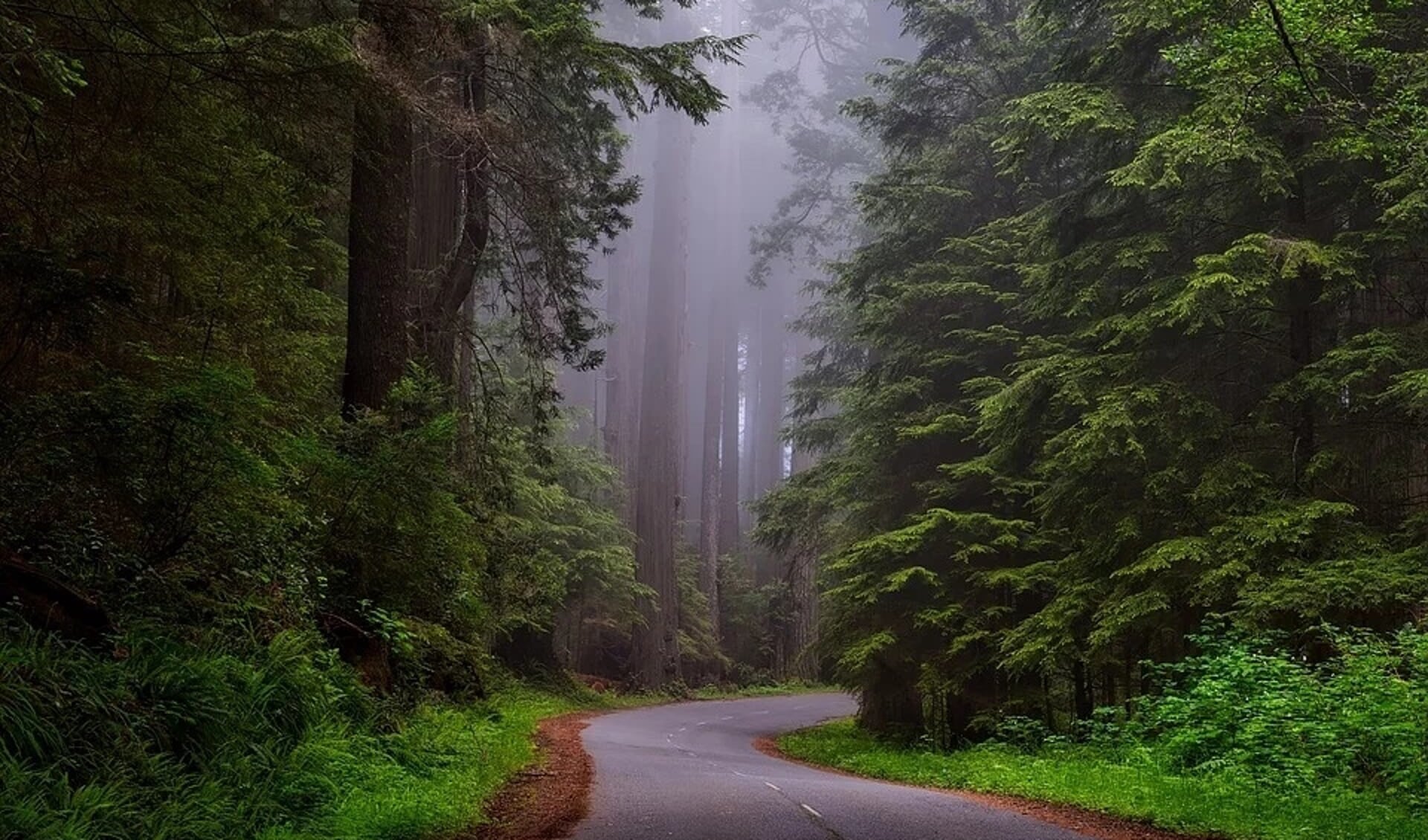 Redwood National Park is Californië. 