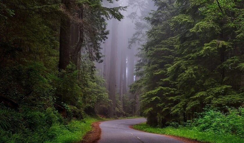 Redwood National Park is Californië.