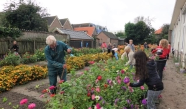 Werken in de schooltuin gebeurt al ruim 30 jaar met meester Wim (links op de foto).