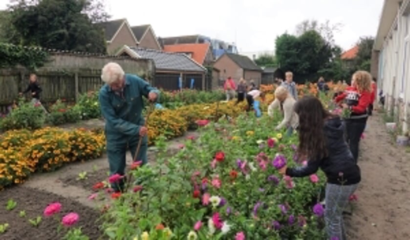 Werken in de schooltuin gebeurt al ruim 30 jaar met meester Wim (links op de foto).