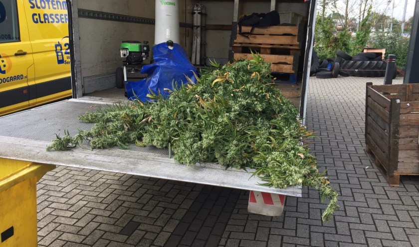 Bij controles wordt al niet meer opgekeken van de aanwezigheid van wietplantages. Zoals onlangs in enkele boxen op bedrijventerrein De Koog in Purmerend.