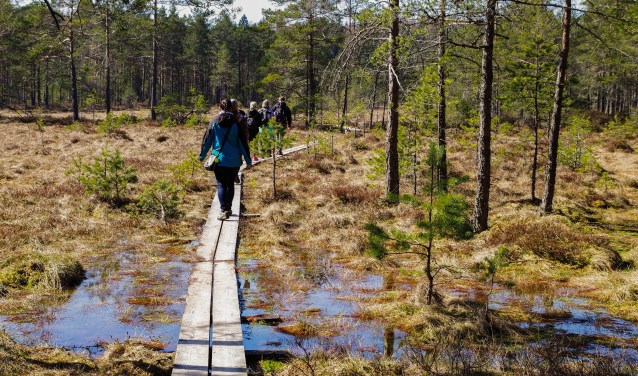 Samen wandelend de natuur in stimuleert en inspireert