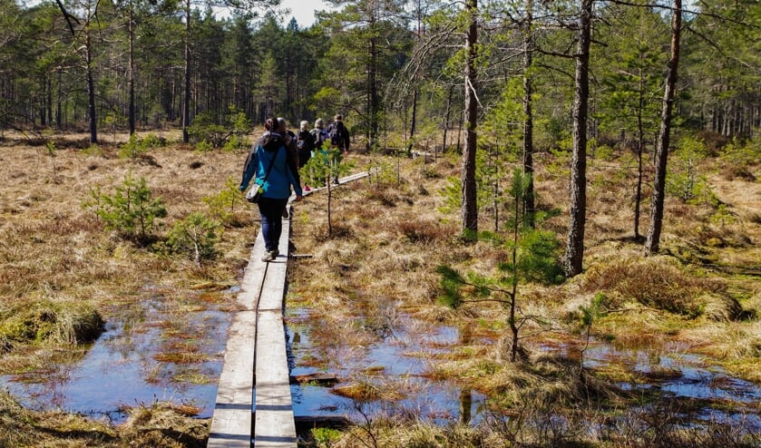 Samen wandelend de natuur in stimuleert en inspireert