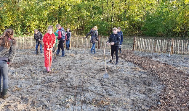 Kinderen van de basisscholen Sint Antonius en De Mient planten bomen voor het eerst Tiny Forest in Nieuwe Niedorp.