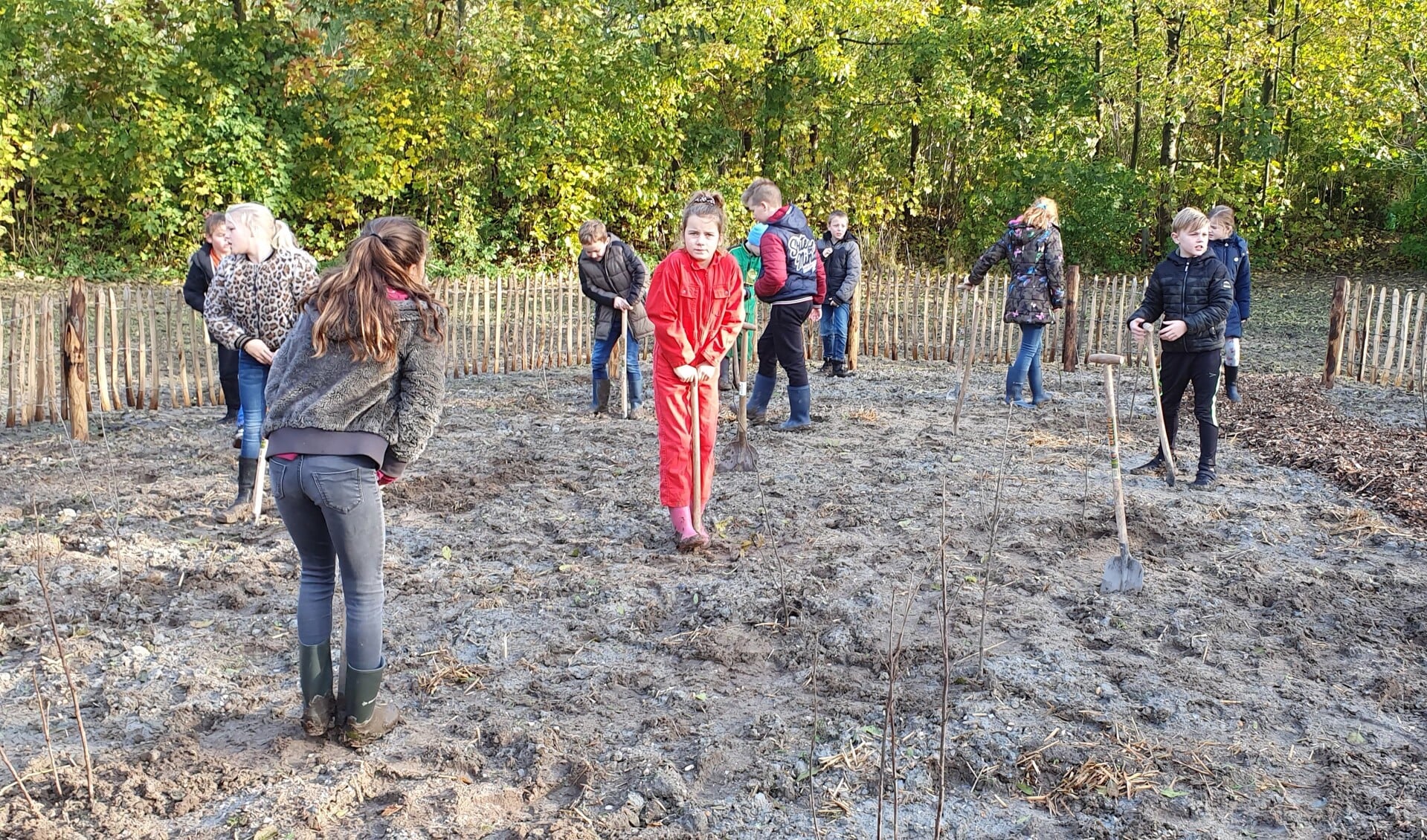 Kinderen van de basisscholen Sint Antonius en De Mient planten bomen voor het eerst Tiny Forest in Nieuwe Niedorp.