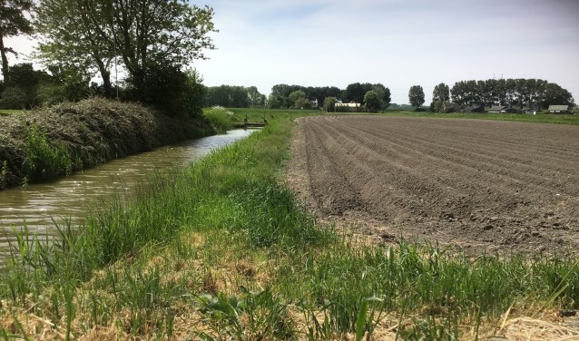 Voorbeeld van een juiste teeltvrije zone, zo ziet het hoogheemraadschap het graag.