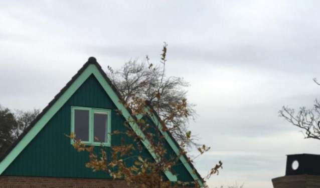 Een geboorteboom in de tuin bij een inwoner van de gemeente.