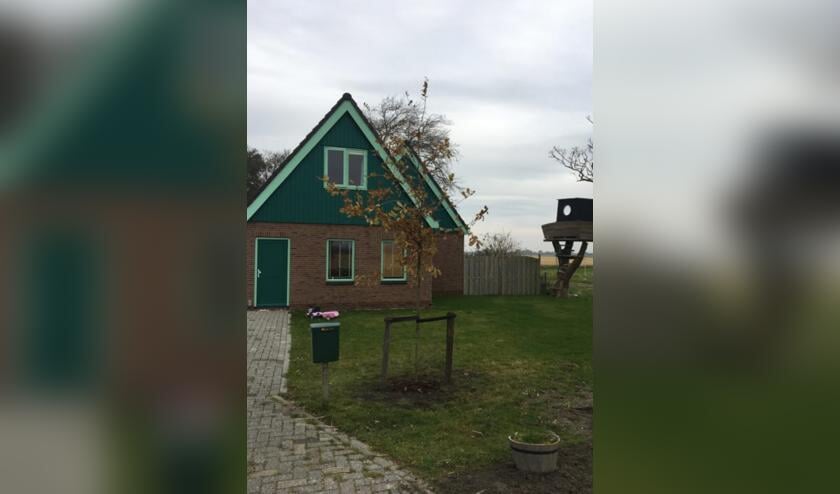 Een geboorteboom in de tuin bij een inwoner van de gemeente.