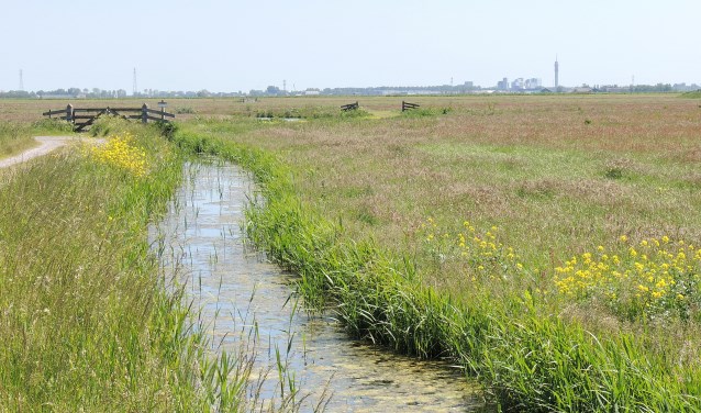 De te hoge stikstofuitstoot heeft directe gevolgen voor onze natuur en leefomgeving.