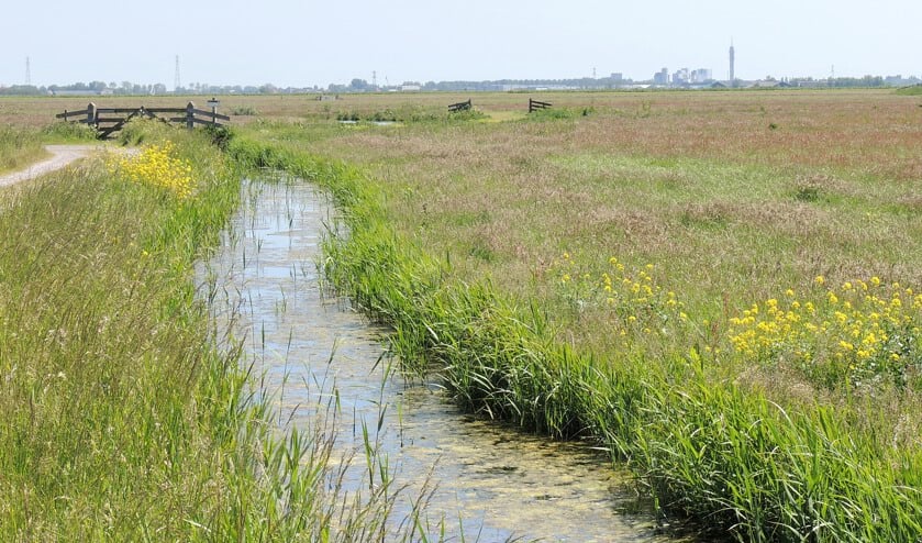 De te hoge stikstofuitstoot heeft directe gevolgen voor onze natuur en leefomgeving.