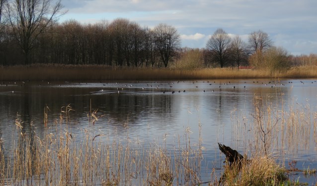 De Stootersplas staat in deze excursie centraal.