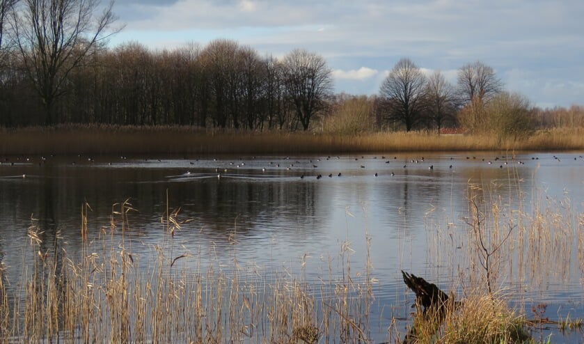 De Stootersplas staat in deze excursie centraal.