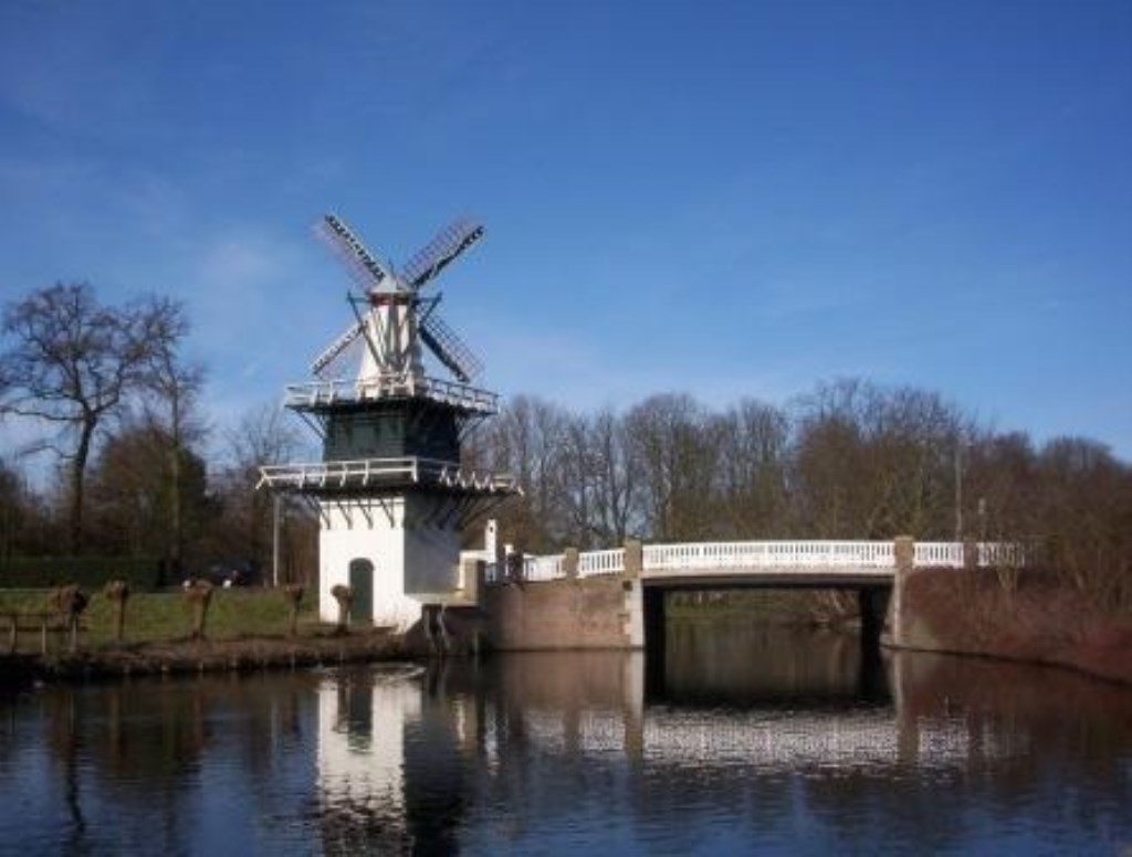De prachtige wieken van 't Molentje.