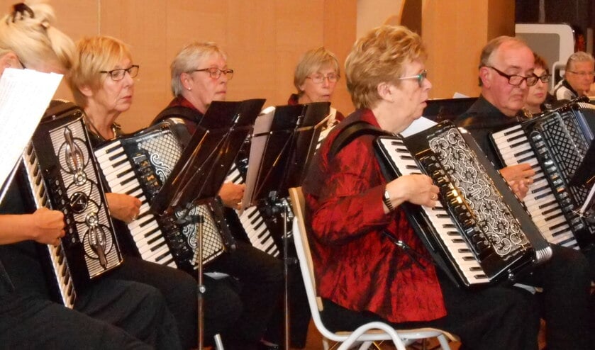 Vita Accordeonista.