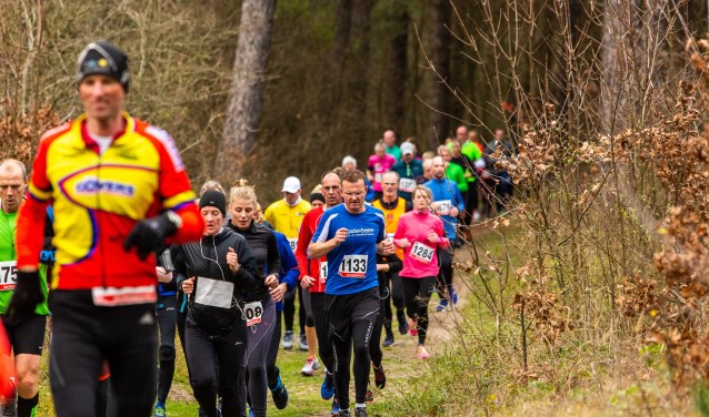 Midwinterduinloop Egmond.
