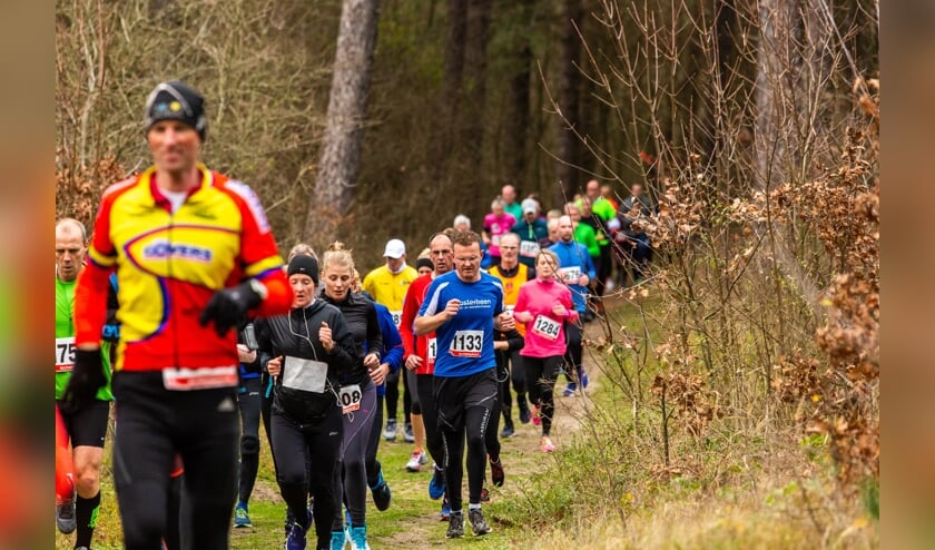 Midwinterduinloop Egmond.