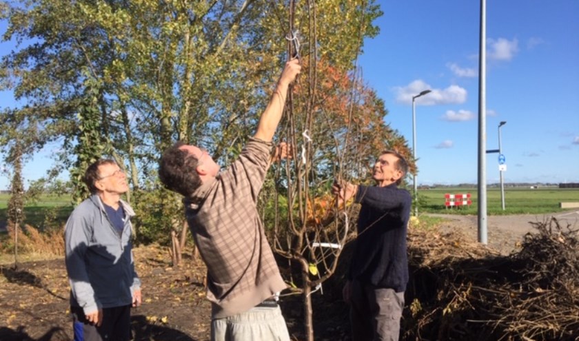 Boompjes worden in het Bulderbos geplant.